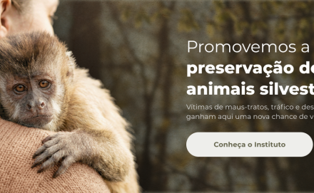 Ribercon - Ação 2