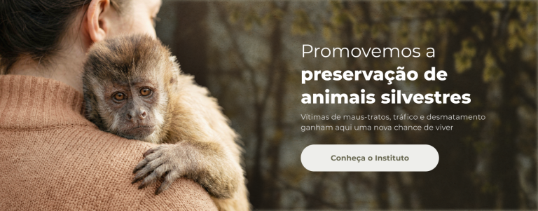 Ação 2